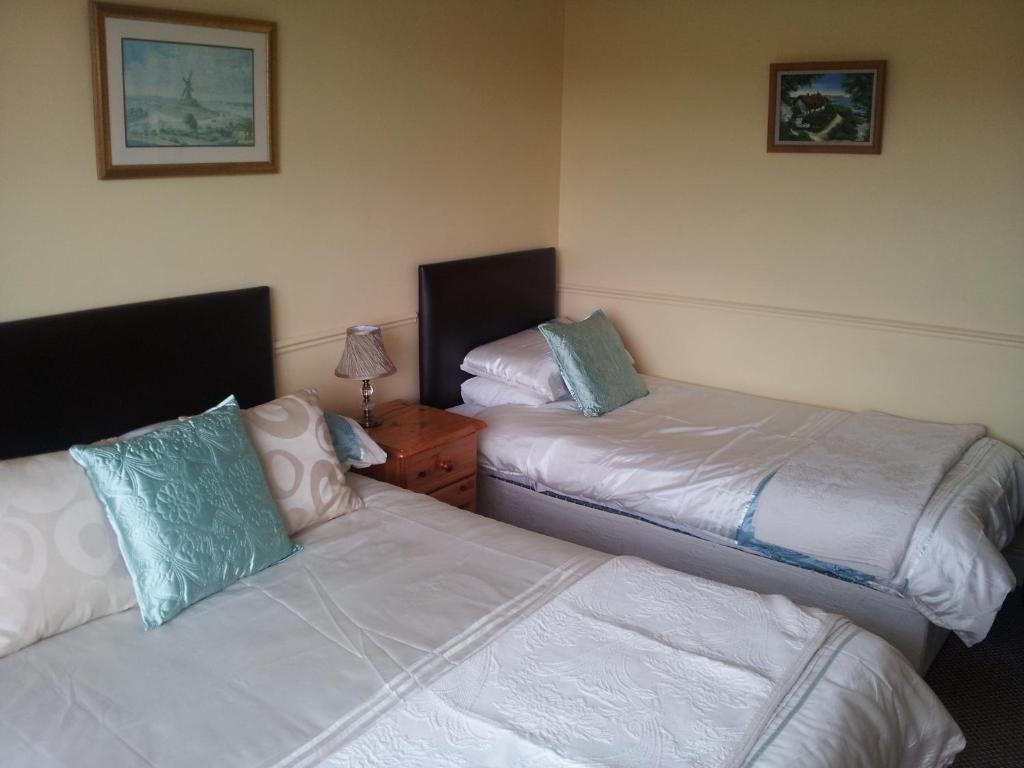 Tir Na Nog B&B Cashel  Buitenkant foto