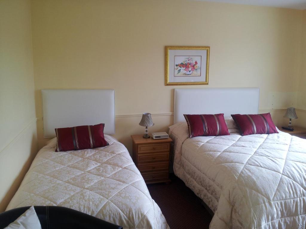 Tir Na Nog B&B Cashel  Buitenkant foto
