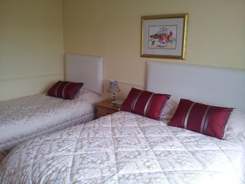 Tir Na Nog B&B Cashel  Buitenkant foto